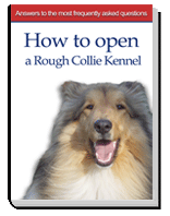Dog Kennel Business Plan Cover